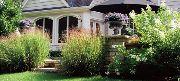 Landscape design...