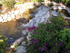 a water feature