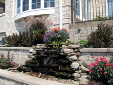 a water feature